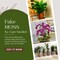 Large Capacity Fake Moss for Plants Indoor, Fresh Green Moss for Potted Plants Craft Moss for Home & Office Decor Fairy Garden Decoration